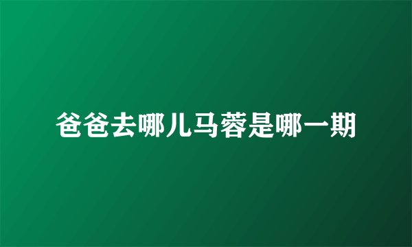 爸爸去哪儿马蓉是哪一期