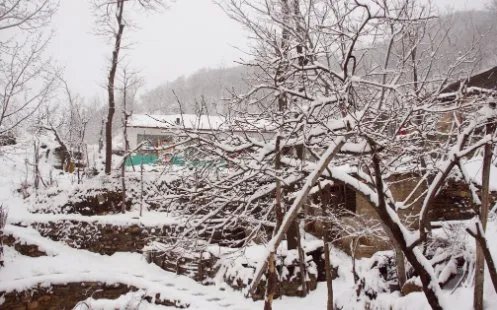 河南多地景区飘起鹅毛大雪,瑞雪代表着什么?