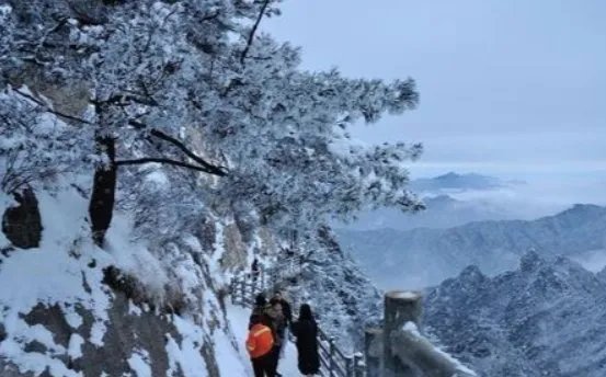 河南多地景区飘起鹅毛大雪,瑞雪代表着什么?