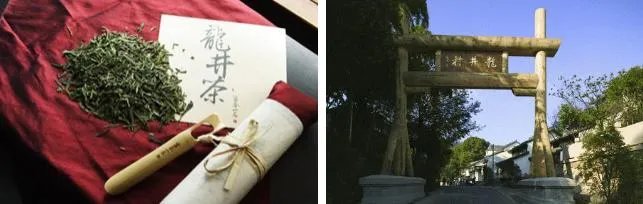 杭州的龙井茶有什么特色?