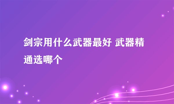 剑宗用什么武器最好 武器精通选哪个