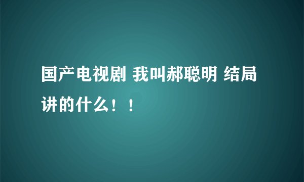 国产电视剧 我叫郝聪明 结局讲的什么！！