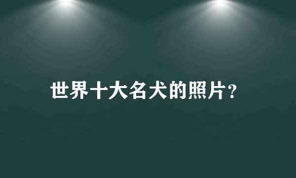 世界十大名犬的照片？