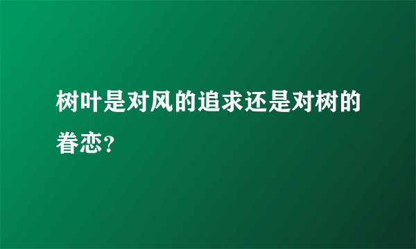 树叶是对风的追求还是对树的眷恋？