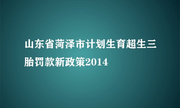 山东省菏泽市计划生育超生三胎罚款新政策2014