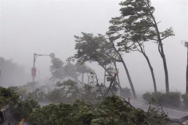 台风白鹿将登陆福建，暴雨洪水来袭怎样防止洪水涌入室内？