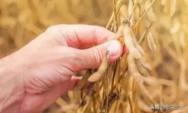 受疫情影响,已有国家禁止出口粮食,你怎么看?
