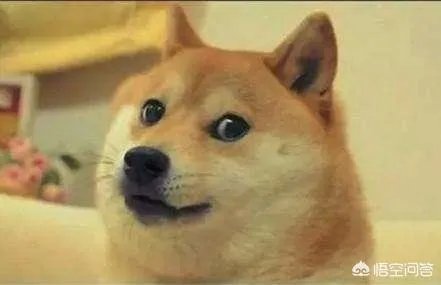 一直看江苏卫视《非诚勿扰》的人是什么样的？