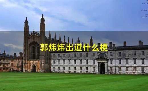 郭炜炜出道什么梗