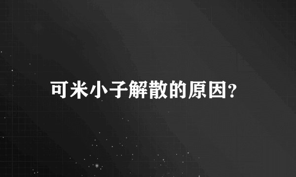 可米小子解散的原因？