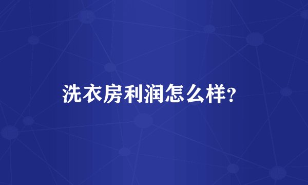 洗衣房利润怎么样？