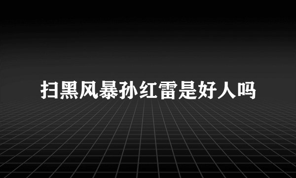 扫黑风暴孙红雷是好人吗