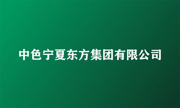 中色宁夏东方集团有限公司