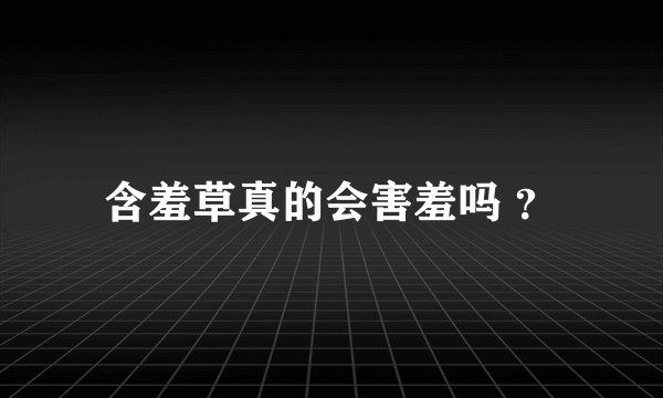 含羞草真的会害羞吗 ？