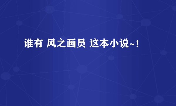 谁有 风之画员 这本小说~！
