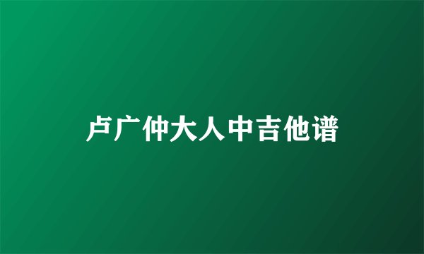 卢广仲大人中吉他谱