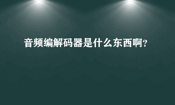 音频编解码器是什么东西啊？
