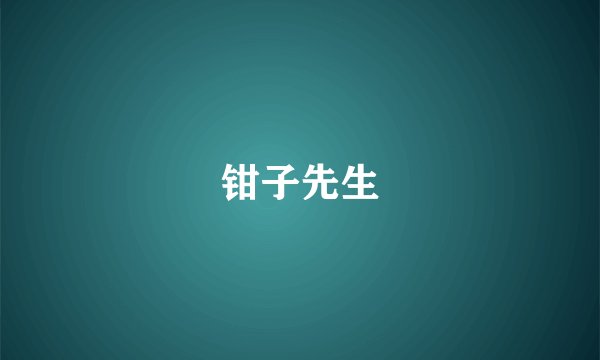 钳子先生
