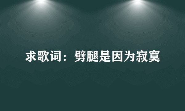 求歌词：劈腿是因为寂寞