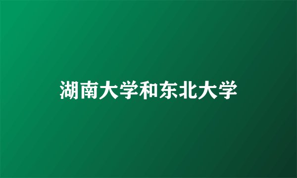湖南大学和东北大学