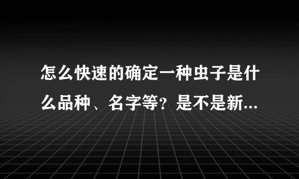 怎么快速的确定一种虫子是什么品种、名字等？是不是新的物种？