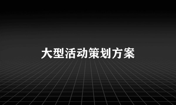 大型活动策划方案