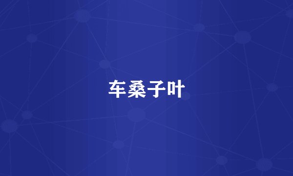 车桑子叶