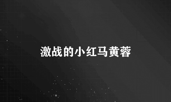 激战的小红马黄蓉