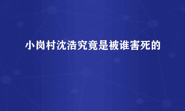 小岗村沈浩究竟是被谁害死的