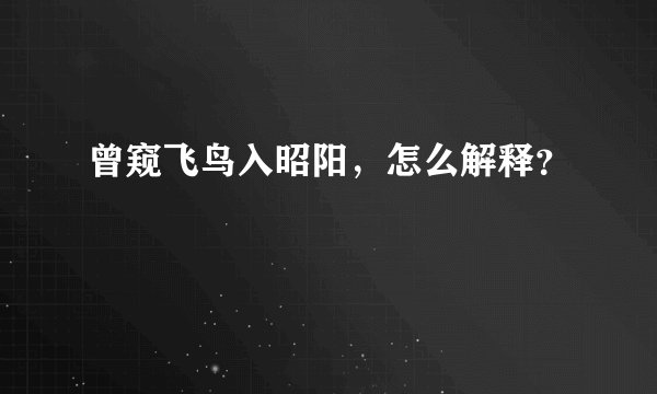 曾窥飞鸟入昭阳,怎么解释?