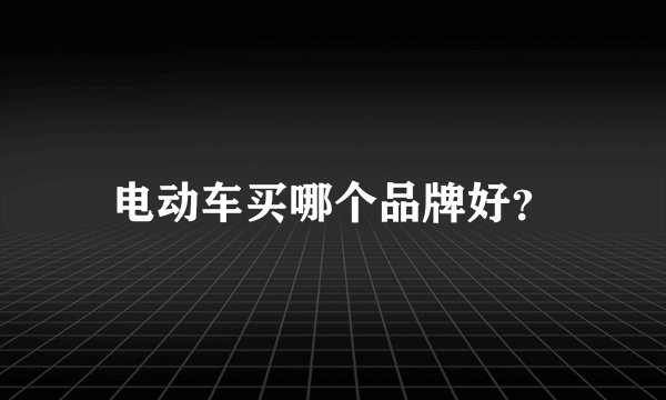电动车买哪个品牌好？