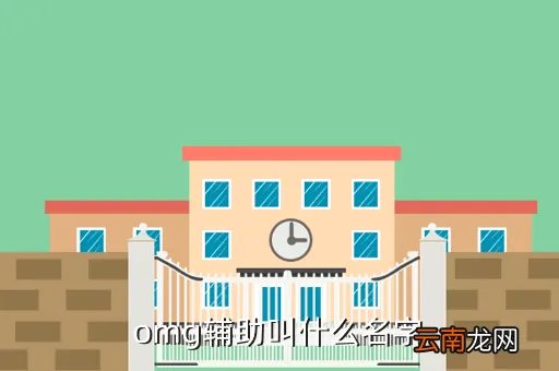 omg辅助，omg辅助叫什么名字