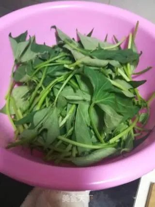 清炒地瓜叶