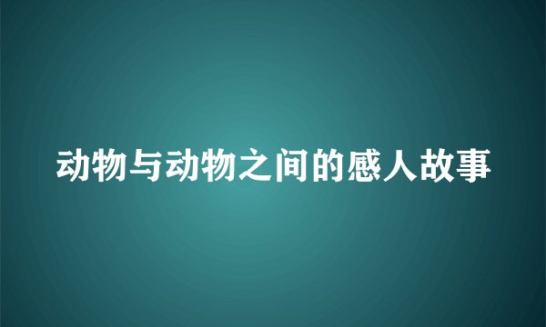 动物与动物之间的感人故事