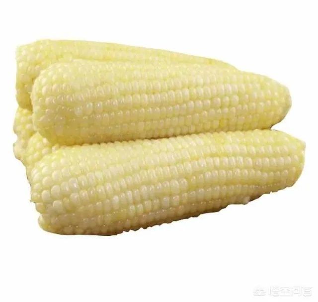 在忻州种什么品种的玉米比较好?