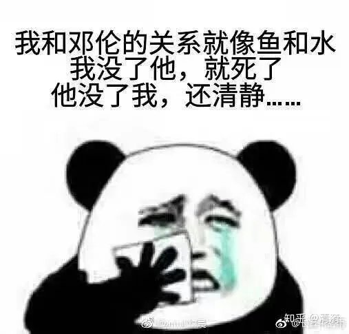 杨紫演的电视剧中,你最pick她和哪个男明星组的CP?为什么?