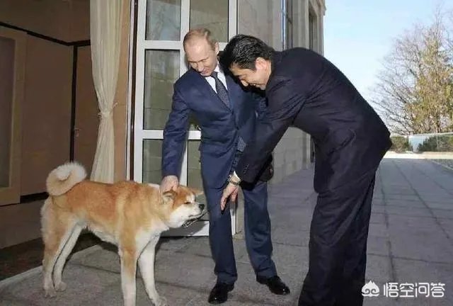 1月20日,安倍前往莫斯科,继续向普京要岛,是不是又是自寻烦恼之旅?