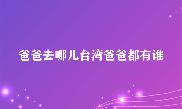 爸爸去哪儿台湾爸爸都有谁