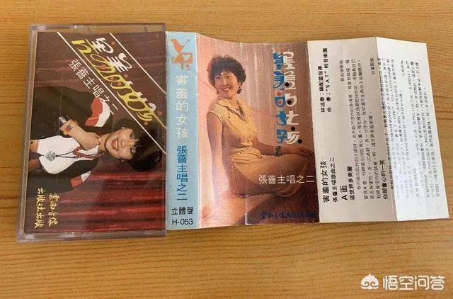你还记得张蔷吗?还记得蔷姐唱过的那些歌吗?