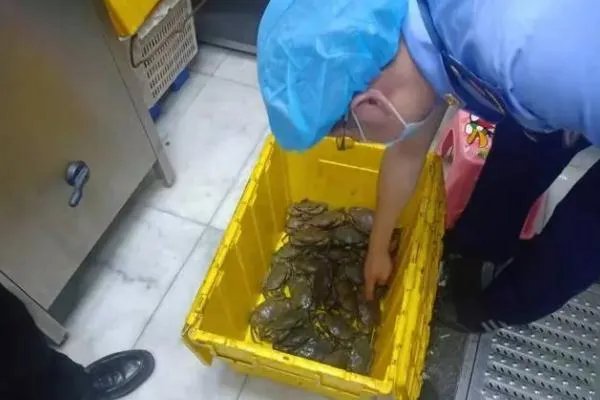 胖哥俩在执法人员检查前丢弃食材 吃死螃蟹有什么危害
