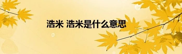 浩米 浩米是什么意思