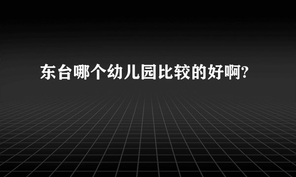 东台哪个幼儿园比较的好啊?