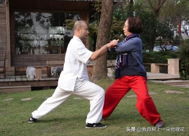 如何评价太极推手?