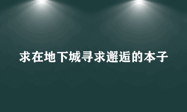 求在地下城寻求邂逅的本子