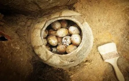溧阳发现春秋古墓,出土2500年鸡蛋,究竟有什么价值?