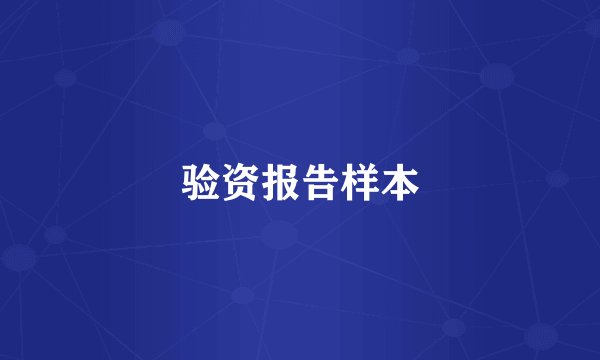 验资报告样本