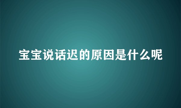 宝宝说话迟的原因是什么呢