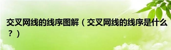交叉网线的线序图解（交叉网线的线序是什么？）