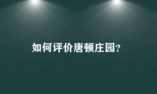 如何评价唐顿庄园？