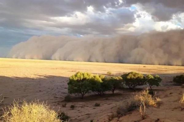 内蒙古包头因沙尘紧急停课,沙尘天气的起因是什么?
